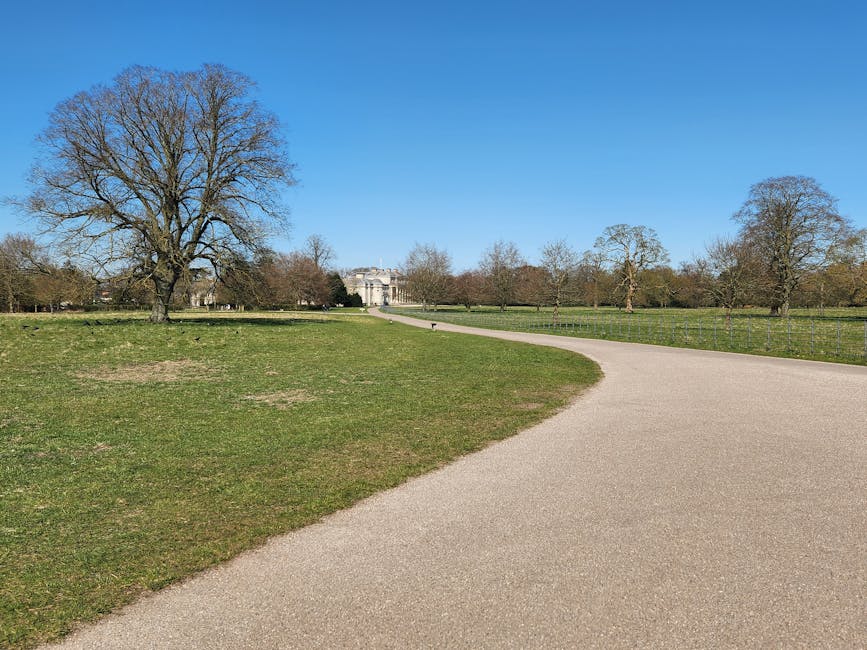 A wide view of a park with a curved gravel pathway in the foreground, bordered by patches of green grass and several leafless trees with bare branches, indicating winter or early spring. In the background, there is a large classical-style building with columns partially obscured by smaller trees, and a clear, bright blue sky overhead. The scene is well-lit with natural daylight, creating a calm and open atmosphere typical of outdoor public spaces. This setting reflects aspects of independent waste management or on-site clearance, as the park appears to be free of visible litter or debris, and the open layout emphasizes natural surroundings suitable for ongoing maintenance or rubbish removal services by Waste Clearance Hounslow.