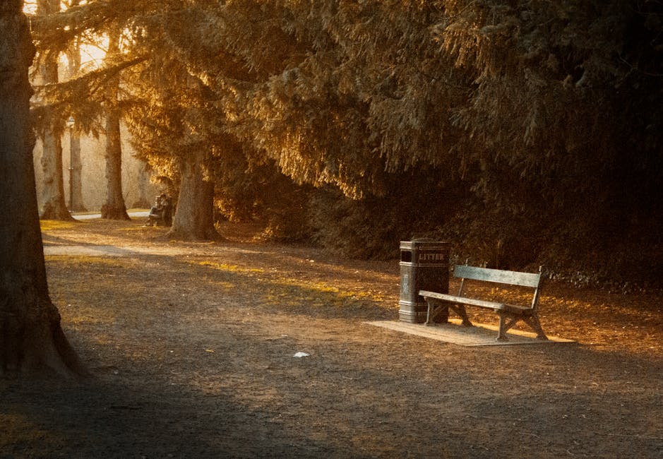 A solitary wooden bench with a metal frame is situated on a paved pathway within a park, positioned next to a black litter bin marked 'LITTER'. The bench’s wooden slats display a weathered, textured surface with visible grain and a muted brown finish. The litter bin is cylindrical with a shiny surface and white text. Surrounding the bench are tall trees with thick trunks and expansive branches, casting dappled shadows and a warm, golden light across the scene, suggesting late afternoon or early evening. The ground is composed of dark gravel or compacted dirt with scattered small debris. Dense foliage of dark green and brown leaves lines the background, creating a natural barrier and adding depth to the scene. The overall setting appears quiet and clean, reflecting a maintained outdoor space where waste management, such as occasional rubbish collection or on-site clearance, contributes to its tidy appearance, exemplifying a controlled environment for public use and environmental care.